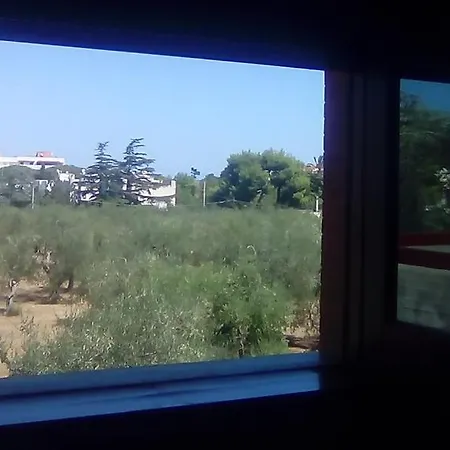 Ananas Отель типа 